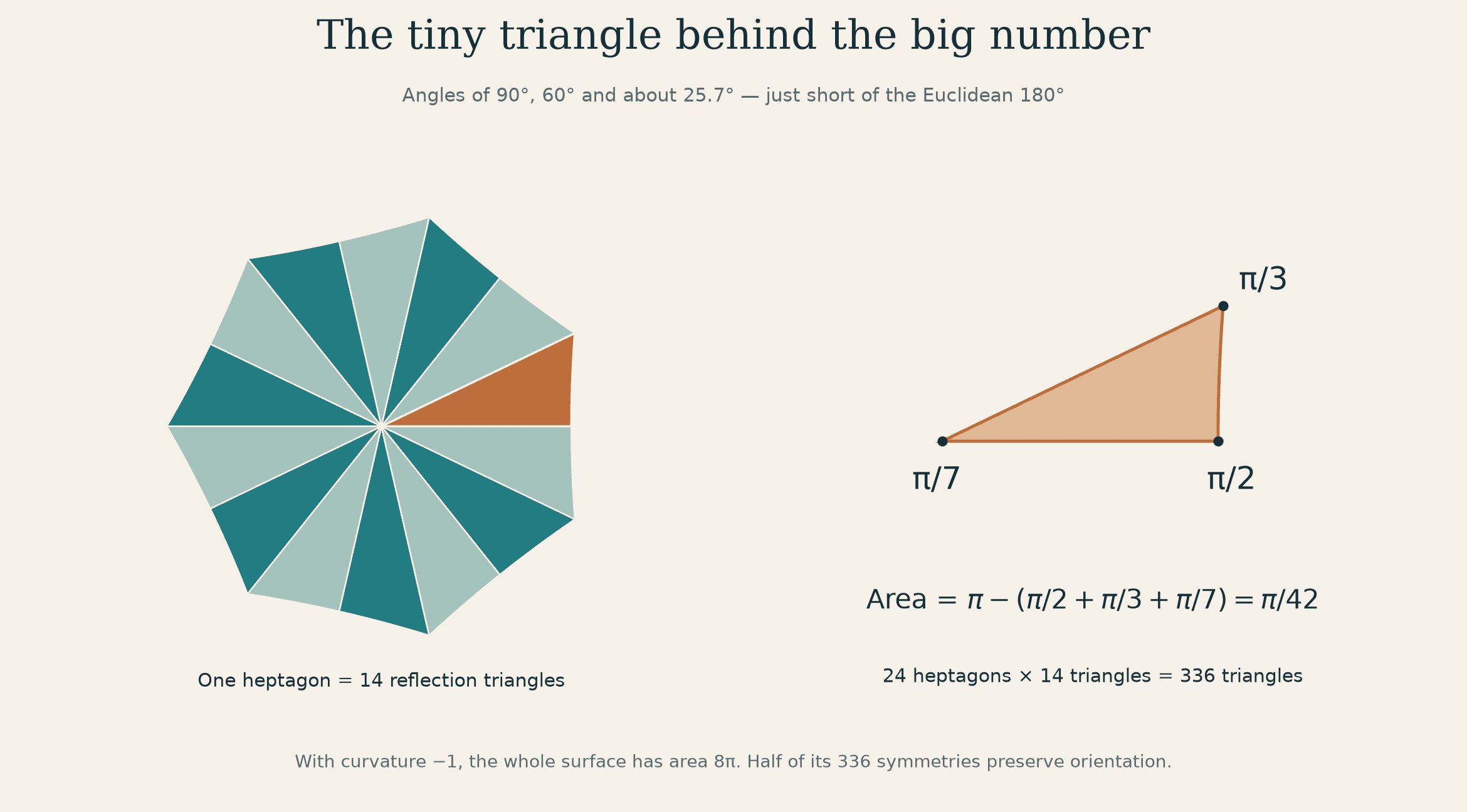 A heptagon divided into fourteen triangles, with the fundamental triangle enlarged